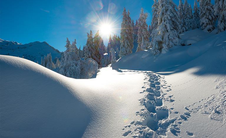 5 bonnes raisons de partir en montagne l’hiver