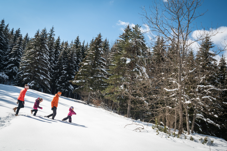 Quelle station de ski familiale choisir ?